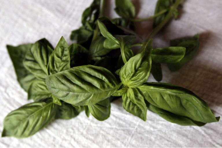 The Health Benefits of Herbs