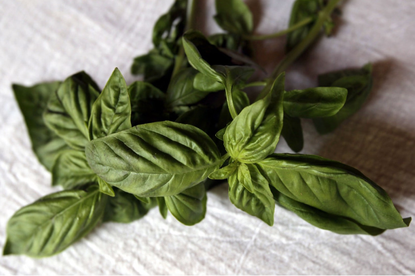 The Health Benefits of Herbs